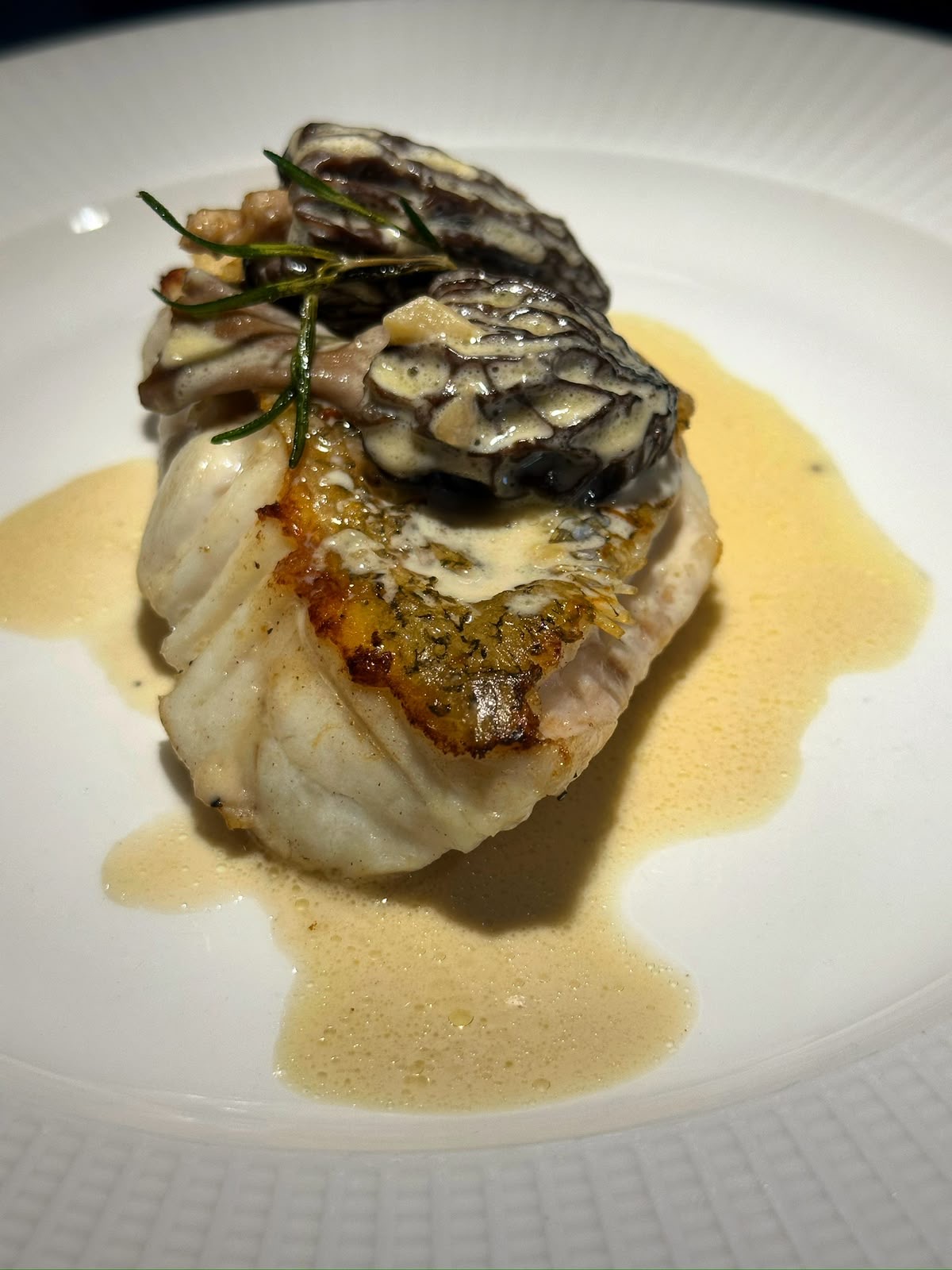 Pan-seared white fish with morel mushrooms in cream sauce